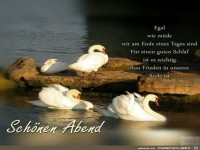 Schoener Abend--