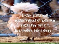 Der Hintern sitzt richtig