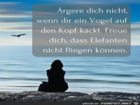 Ärgere dich nicht, wenn.....