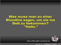 Was muss man zu einer Blondine sagen