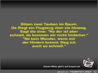 Sitzen zwei Tauben im Baum