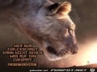 wer nir zurueckschaut