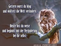 gestern warst du klug
