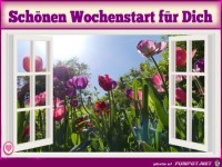 Schnen Wochenstart...