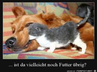 Ist da noch Futter �brig?