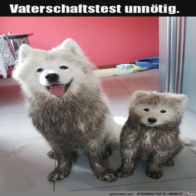 Vater-und-Sohn.jpg von Henry