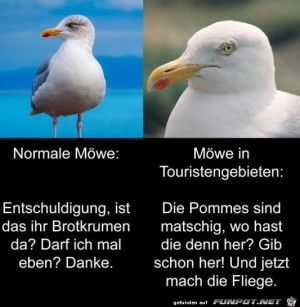 Mwen.jpg auf www.funpot.net