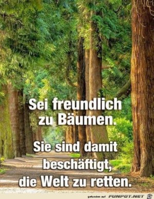 Sei-freundlich-zu-Bäumen.jpg auf www.funpot.net