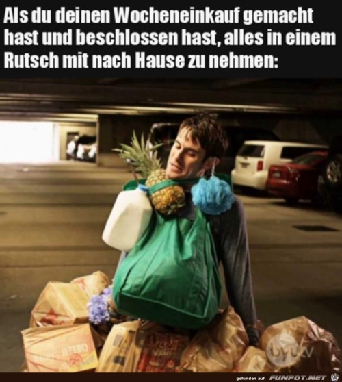 Wocheneinkauf-auf-einmal-tragen.jpg auf www.funpot.net