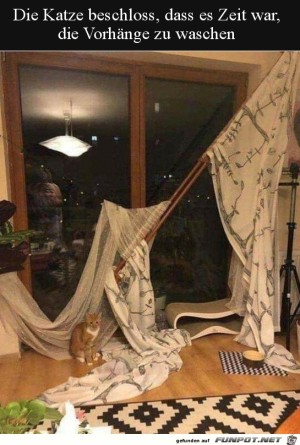 Die-Vorh�nge-m�ssen-gewaschen-werden.jpg auf www.funpot.net