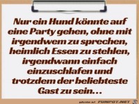 Nur ein Hund könnte das