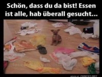 Hab �berall gesucht