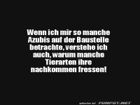 Witz über Azubis und Baustellen