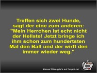 Treffen sich zwei Hunde