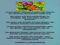 unsere guten wnsche seien wie sterne