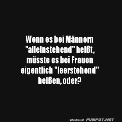 Leere-Logik-in-der-Wortwelt!.jpg von Cecilia