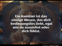 Pelzige Philosophie  la Schnurrbart-Guru