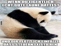 Wenn gute Laune auf Steuerfrust trifft