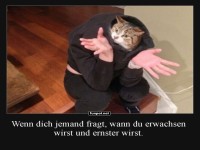 Dieses Katzen-Outfit nie ohne Humor tragen!
