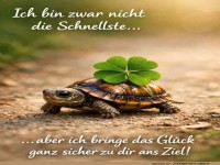 Langsame Schildkr�te, gro�es Gl�ck!