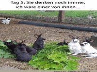 sie denken ich w�re einer von ihnen