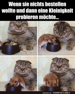 Wenn-sie-sich-nichts-bestellt-hat.jpg auf www.funpot.net