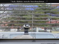 Gans im B�ro: Neue Sicherheitschefin!