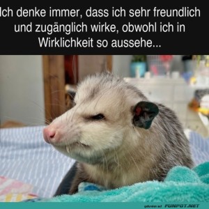 Montagsgef�hle:-Wenn-Freundlichkeit-m�de-macht.jpg von Erwin32