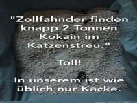 Katzenstreu: Mehr als nur Klumpen!