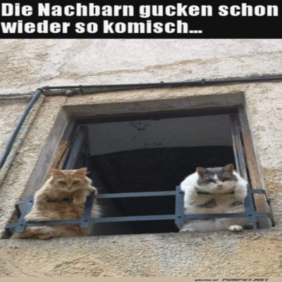 Die-Nachbarn-gucken-komisch.jpg von Traumfrau