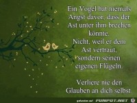 Ein Vogel hat niemals Angst