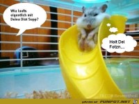 Bayern5 mime-attachment 1