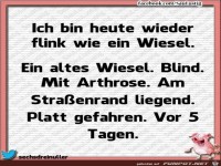 Flink wie ein Wiesel