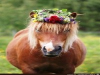 Bereit f�r Ausgang