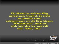 Ein Skelett ist auf dem Weg zur�ck zum Friedhof