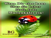 Wenn dir eine Laus