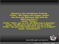 Neulich in der m�ndlichen Pr�fung