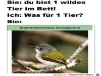 Was f�r ein Tier?