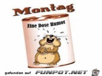 Montag, eine Dose Humor