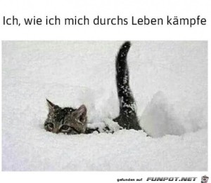 Durchs-Leben-kämpfen.jpg auf www.funpot.net