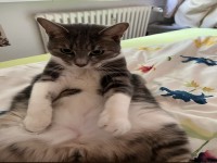 Wo bleibt denn mein Fr�hst�ck????