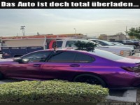 Viel zu gro� der Baum