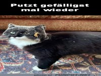 Putzen ist �berf�llig