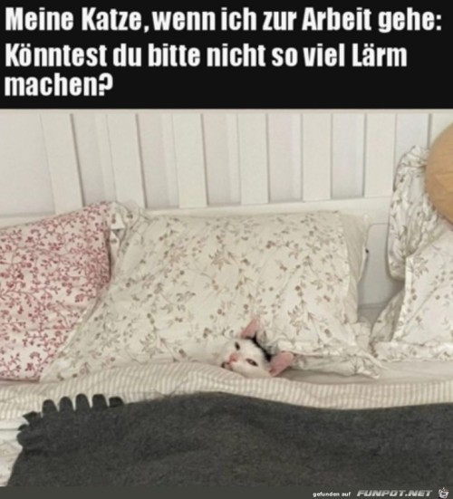 Sei-leiser.jpg auf www.funpot.net