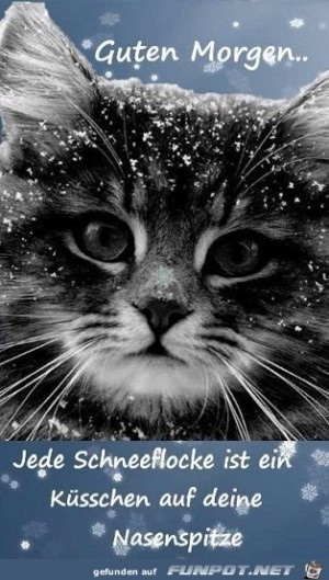Guten-Morgen.jpg auf www.funpot.net