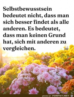 Selbstbewusstsein.jpg auf www.funpot.net
