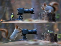 Lass uns Bilder machen