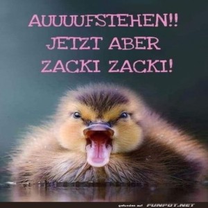 Begrüßungsbild