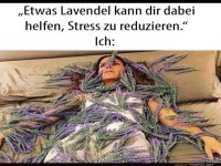 Ein Lavendelbad für weniger Stress