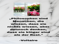 Zitat von Voltaire �ber Philosophen